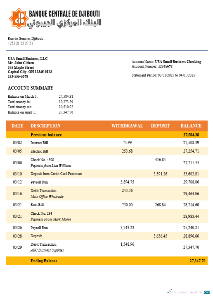 Central Bank of Djiboutian company checking account statement Word and PDF template